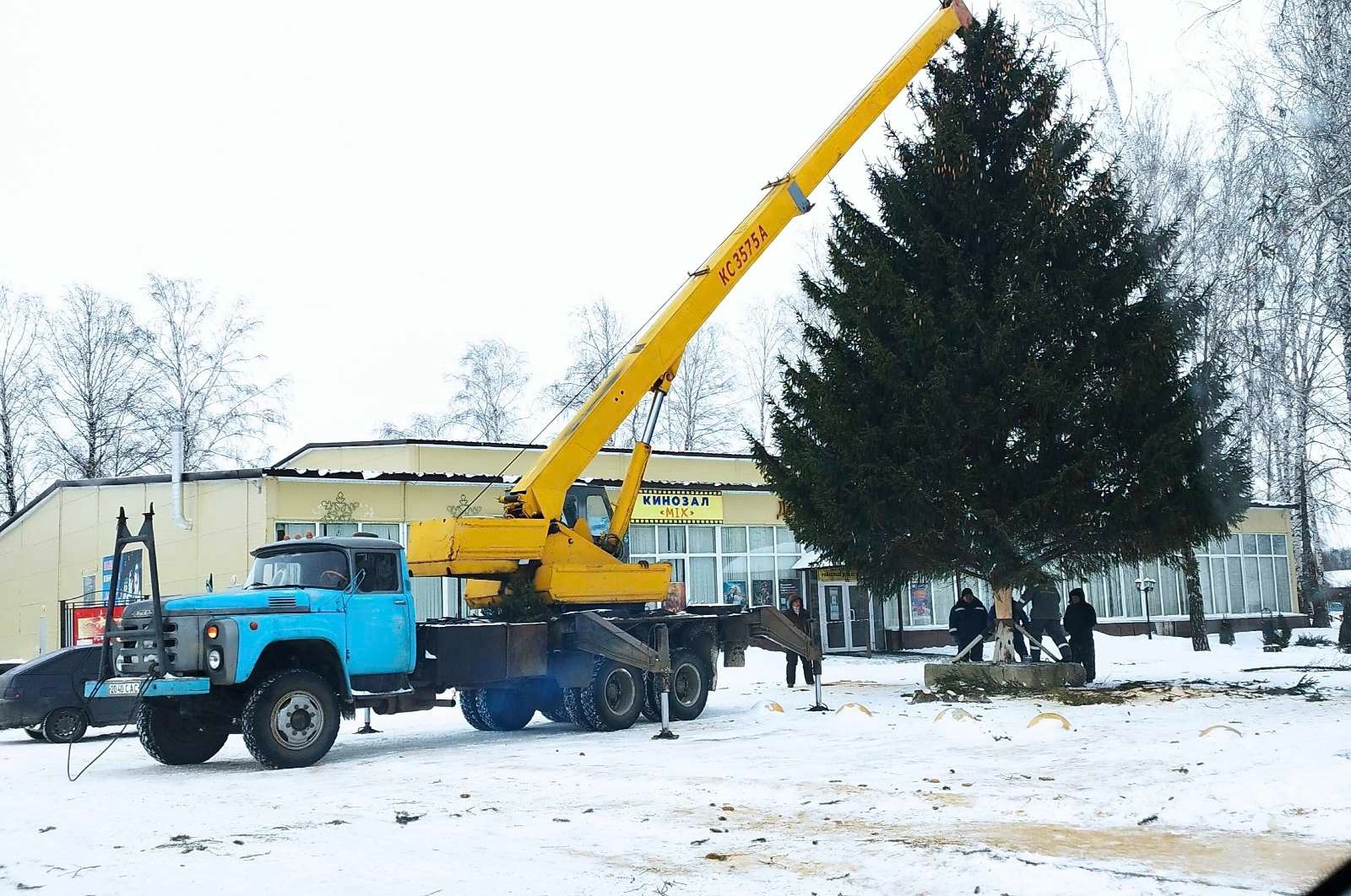 Главная новогодняя красавица Екатериновки устанавливается у Центрального Дома культуры.