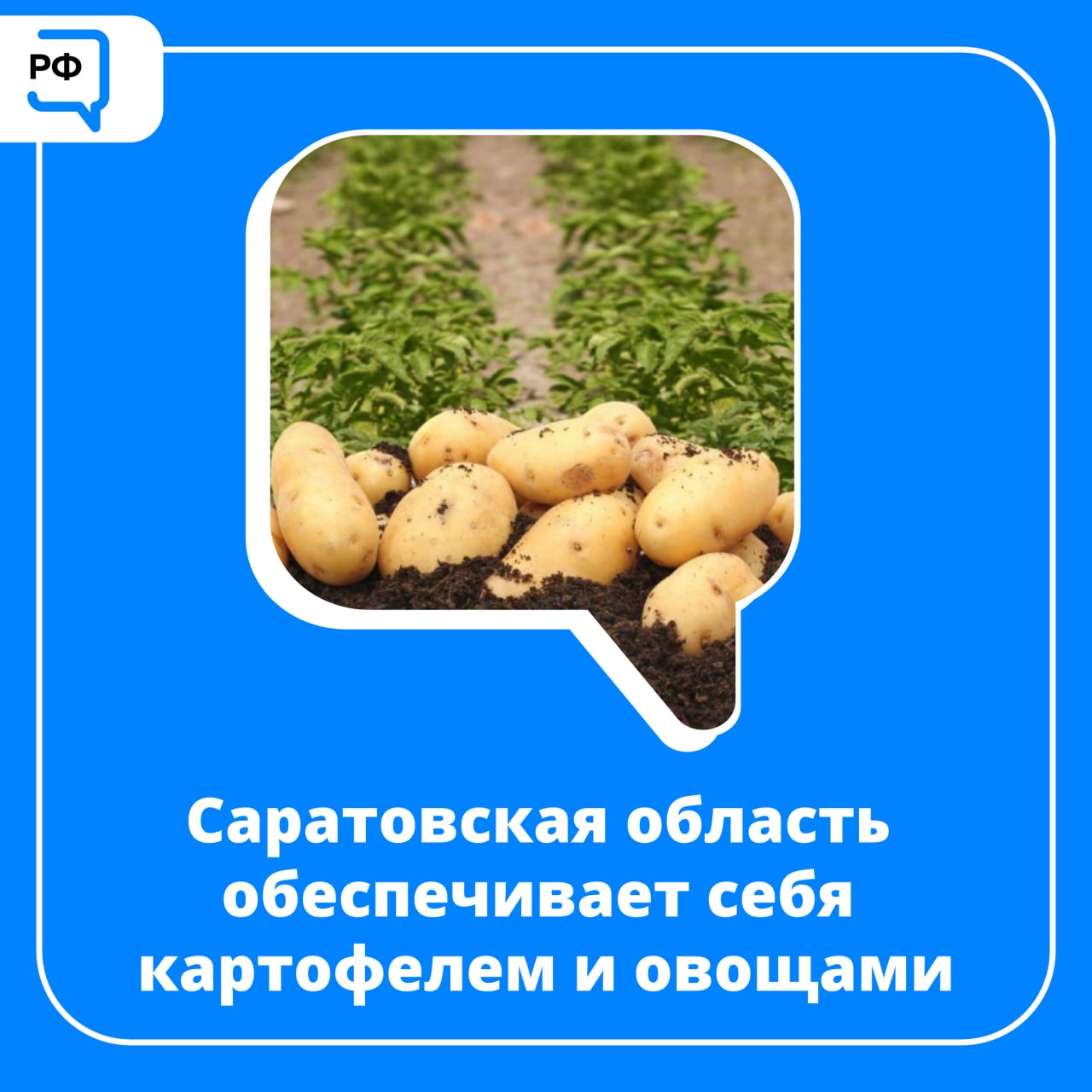 Саратовская область обеспечивает себя картофелем и овощами