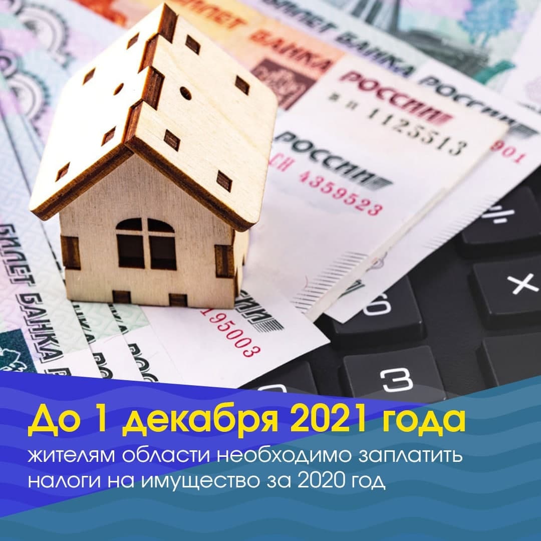 Не позднее 1 декабря 2021 года жителям области необходимо заплатить несколько налогов