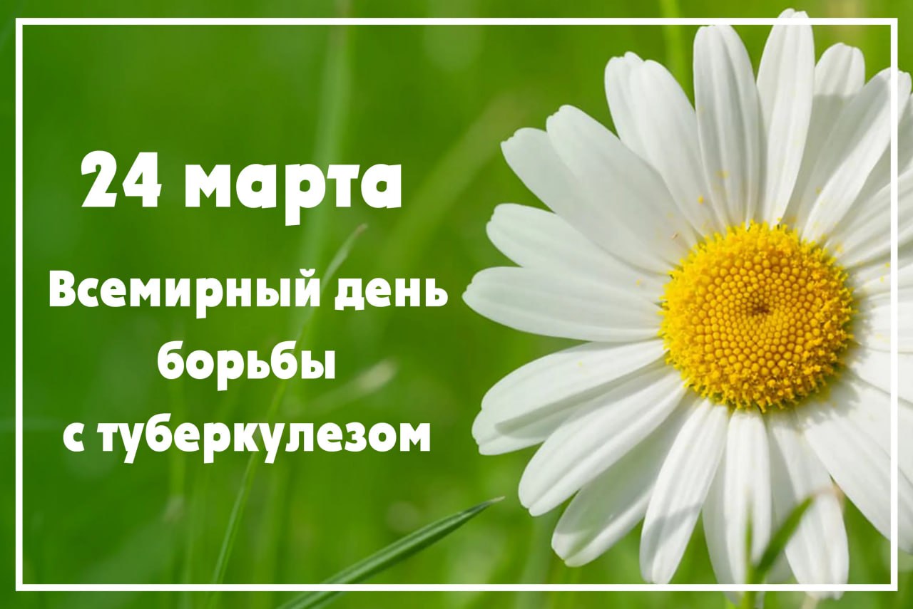 Около 2 млн больных туберкулезом погибают, так как не проходят регулярное обследование: саратовские врачи напомнили о профилактике и наблюдении