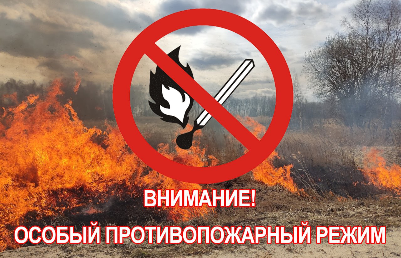 В лесах Саратовской области действует особый противопожарный режим