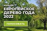 Европейское дерево года - 2022: приглашаем саратовцев принять участие в онлайн-голосовании